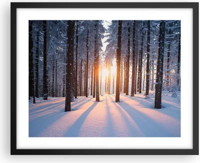 Produktbild von Gerahmtes Poster - Schwarzer Rahmen - Wald Winter Schnee - 50x40 cm - Wand Bild - Wanddeko - Wandbilder - Kunstposter - Wandposter - Bilderrahmen - Bilder - Kunstdruck - Wandbild - P2BAA50x40-3629