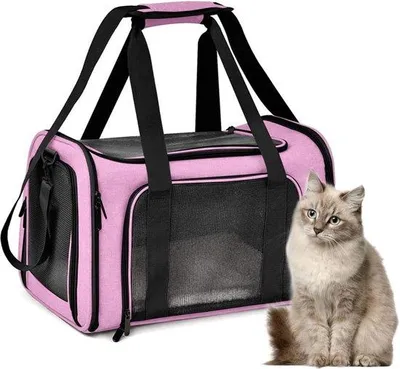 Produktbild von Famanu Transporttas für Katzen und Hunde - Faltbare Tragetasche mit verstellbarem Schulterriemen