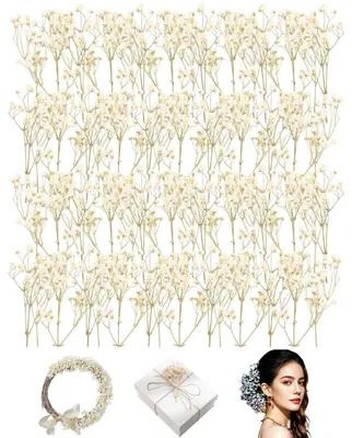 50 getrocknete weiße Schleierkraut-Blumen für DIY-Deko
