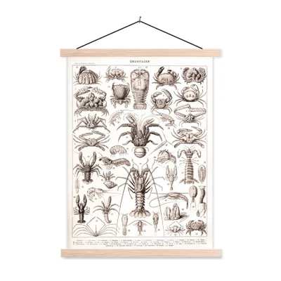 Produktbild von MuchoWow® Textilposter Meerestier - Hummer - Schwarz - Weiß 120x160 cm mit holzfarbenen Rahmen - Plakatkarton