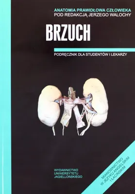 Productafbeelding van Anatomia prawidłowa człowieka. Brzuch. Podręcznik dla studentów i lekarzy