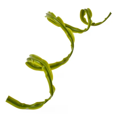 Produktbild von Künstliche Pflanzengirlande grün 100 cm | 48 Stück
