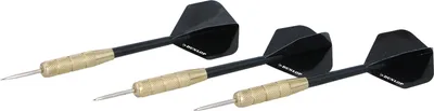 Produktbild von 3 Dartpfeile Steeldarts Master Darts Zusatz Ersatz Erweiterung Dartset Komplettset