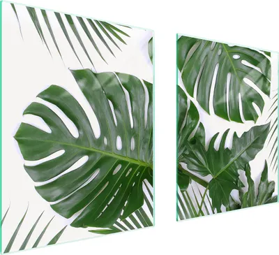 Obrázek produktu pro Skleněná Ochranná Deska Pro Sporák 85X52 Monstera