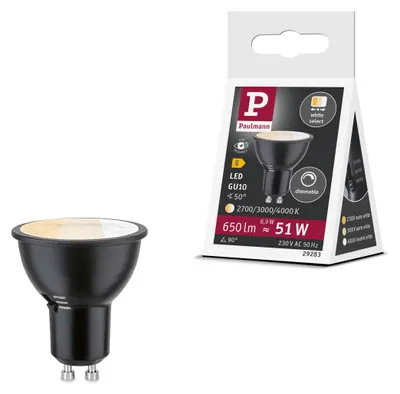 Image de Paulmann Standard 230V Réflecteur LED