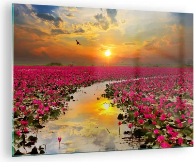 Produktbild von Bilder auf glas - See Blumen - 70x50cm - Glasbilder - Wandbilder - Bilder - Kunstdruck - zum Aufhängen bereit - Wanddekoration aus Glas - Glas Bilder - Wandbild auf Glas - Einteilig - GAA70x50-3769