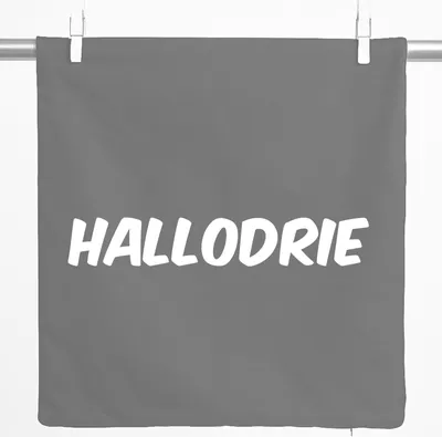 Produktbild von Huuraa Kissenbezug Hallodrie Schriftzug 40x40cm Steel Grey Baumwolle Dekokissenbezug Geschenkidee
