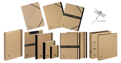 Image de PAGNA Sammelbox A4 Pur Gummizugverschluss natur