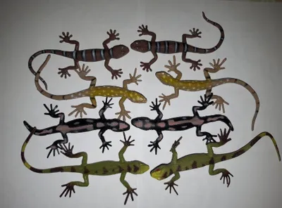 Produktbild von Spieltiere Eidechsen 8erSet, 10-15 cm, Echse Echsen Reptil Salamander Tier Tiere Eidechse