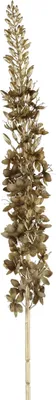 Produktbild von Decostar Living & Decoration Dekozweig Eremurus braun 109cm
