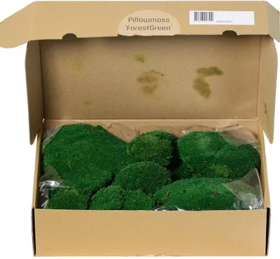 Produktbild von artplants.de Deko Moos SEETHA, grün, 800g, 0,15m2 - Echtes Plattenmoos