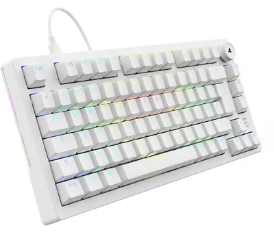 Produktbild von Sharkoon SKILLER SGK25, Gaming-Tastatur