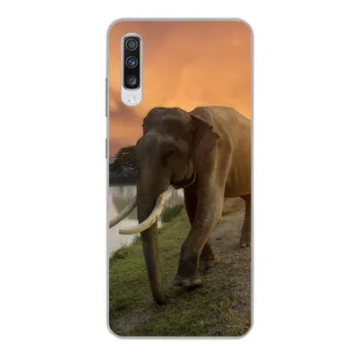 Produktbild von MuchoWow® Handyhülle Schutzhülle Hülle für Samsung Galaxy A70 Elefant - Wasser - Tiere - Sonnenuntergang - Natur Silikon Softcase Handy Hülle - Schutzhaube