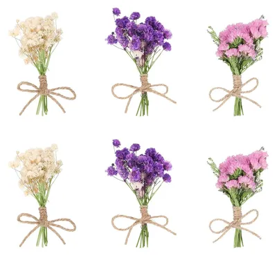 Trockenblumen-Set, 6 Sträuße, natürliche Dekoration