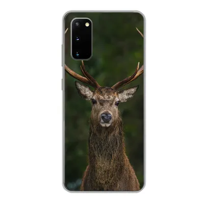 Produktbild von MuchoWow® Handyhülle Schutzhülle Hülle für Samsung Galaxy S20 Hirsch - Geweih - Natur Silikon Softcase Handy Hülle - Bild