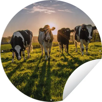 Produktbild von MuchoWow® Gartenposter Outdoor-Poster Rund Kuh - Sonne - Gras Ø 120 cm Gartendeko Rundes Poster draußen