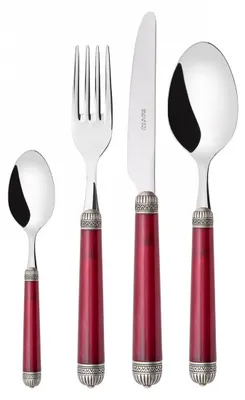 Immagine prodotto di DORICO Ghiera Argento Anticato, Posate Set 24 Pz, Scatola Gallery, Casa Bugatti