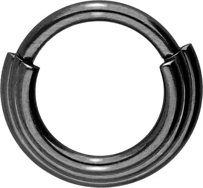 Produktbild von Ohrpiercing, Nasenpiercing, Septum Piercing Chirurgenstahl Segmentring Clicker 3 RINGE