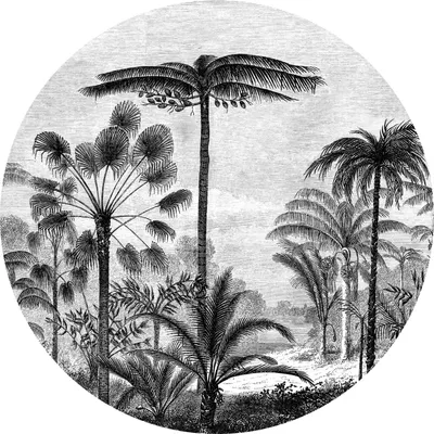 Produktbild von ESTAhome selbstklebende runde Tapete tropische Landschaft mit Palmen Schwarz-Weiß Ø 70 cm