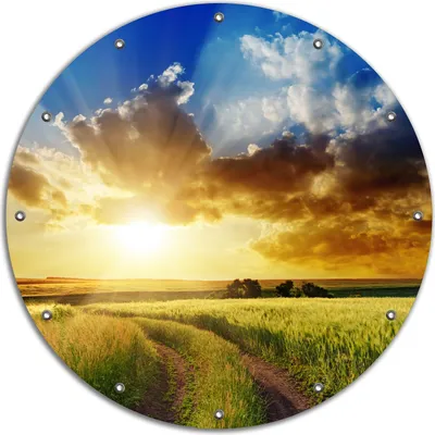 Produktbild von Wallario rundes Outdoor-Poster für Garten oder Balkon, Motiv Feldweg in den Sonnenuntergang, 90 cm Durchmesser