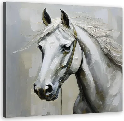 Produktbild von Leinwandbild Weißes Pferd Tiere 40x40 Feeby Weiß bild für die wand bereit zum aufhängen