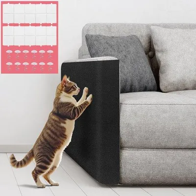 Image de Tapis autocollants pour murs, 200 x 40 cm, protection anti-griffures pour bancs et murs, durables, adaptés aux chats