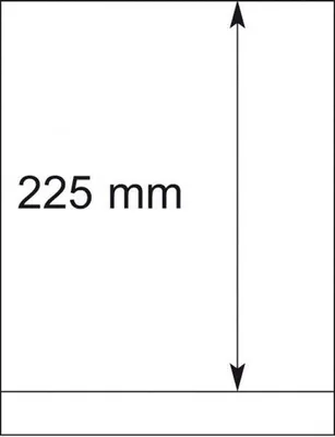 Produktbild von Lindner 802104P T-Blanko-Blätter - 10er-Packung