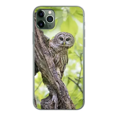 Produktbild von MuchoWow® Handyhülle Schutzhülle Hülle für iPhone 11 Pro Max Eule - Wald - Licht Silikon Softcase Handy Hülle - Schutz