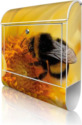 Produktbild von banjado Design Briefkasten Stahl weiß mit Zeitungsfach pulverbeschichtet "Hummel" 38x46x12,5cm & 2 Schlüssel - Postkasten A4 Einwurf inkl. Montagematerial [BKW 10465]