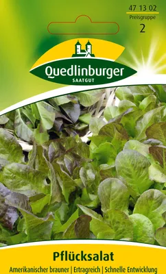 Produktbild von Pflücksalat, Amerikanischer brauner