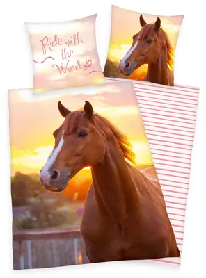 Produktbild von Herding Renforcé-Bettwäsche Pferd 135 x 200/80 x 80 cm