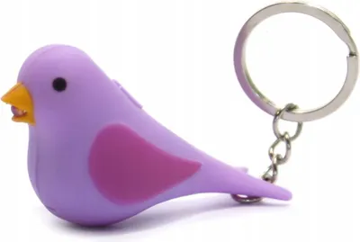 Image de PORTE-CLÉS LUMINEUX + SON OISEAU Différentes couleurs