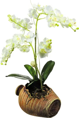 Produktbild von Sanders & Sanders Wandtattoo Blumen Braun, Grün und Weiß 65 x 42.5 cm