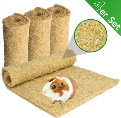 Produktbild von Nagerteppich aus 100% Hanf, 40 x 25cm, 5mm dick, 4er Pack