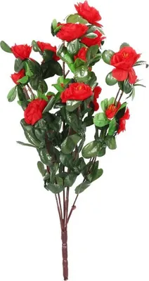 Produktbild von Strauß aus 5 Zweigen mit kleinen roten Rosenblüten