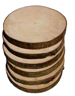 Produktbild von 6 Holzscheiben 23-26 cm mit Rinde für Deko und Basteln