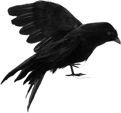 Productafbeelding van Decoratieve Kraai - Kunstvogel - Halloween Decoratie - Realistisch Uiterlijk - 15 cm - Zwart