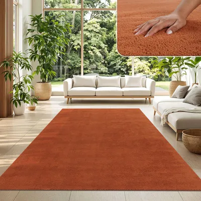 A living room scene with a large orange rug, sofas, and plants.