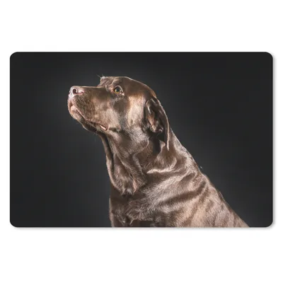 Produktbild von MuchoWow® Mauspad Mousepad Hund - Braun - Porträt 27x18 cm - Mousepads - Maus Mat - Pad - Mausunterlage - Büroartikel - Desk Matten