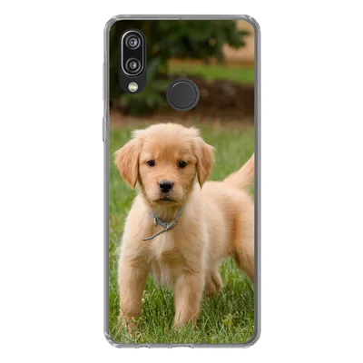 Produktbild von MuchoWow® Handyhülle Schutzhülle Hülle für Huawei P20 Lite (2020) Golden Retriever Welpe im grünen Gras Silikon Softcase Handy Hülle - Kartenhalter