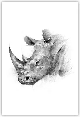 Produktbild von Poster - Poster ohne Rahmen - Nashorn Porträt Grafik - 61x91,5 cm - Wand Bild - Wanddeko - Wandbilder - Kunstposter - Wandposter - Bilder - Kunstdruck - Wanddekoration - Wandbild - P2XPA61x91-4378