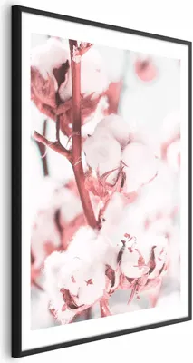 Produktbild von Posterpapier Poster - Baumwolle in Bloom 29.7x42 cm Blumen b-B-0425-ao-a