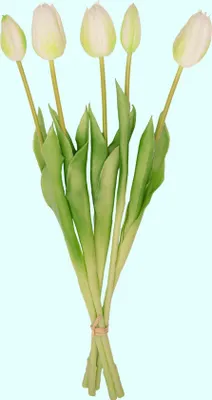 Produktbild von Tulpenstrauß – 5 Stück – Verschiedene Farben – ‘Real Touch’ Kunsttulpen – 42 cm