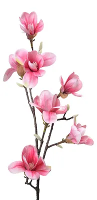 Produktbild von Clayre & Eef Kunstblume 97 cm Rosa Kunststoff
