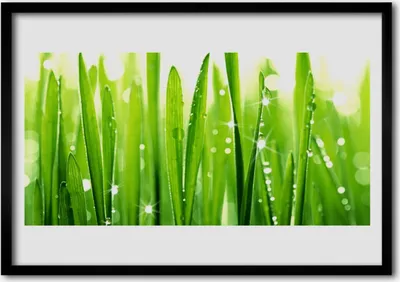 Produktbild von Bild 70x50 MDF-Rahmen Wandkunst Gras Natur Pflanze