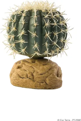 Obrázek produktu pro Hagen Exo Terra Cylinder Cactus, S