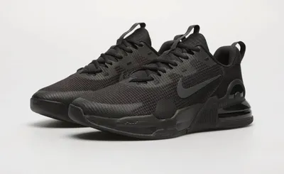 Image de Chaussures D'Entraînement Homme Nike Air Max Alpha Trainer 5