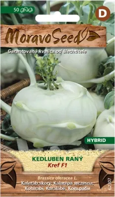 Immagine prodotto di Cavolo precoce KREF F1 - ibrido, bianco 62307