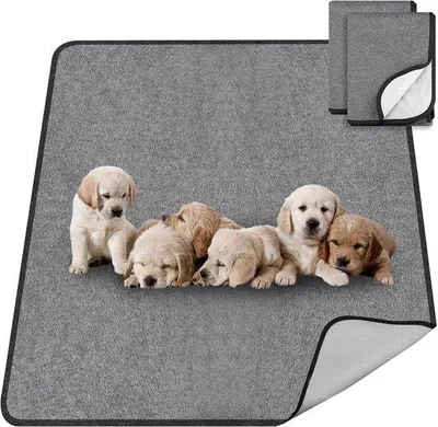 Zdjęcie produktu dla 2 Maty treningowe dla psów, wielokrotnego użytku, zmywalne, o wymiarach 70 x 100 cm, o bardzo dużej chłonności, antypoślizgowe, idealne dla psów i kotów