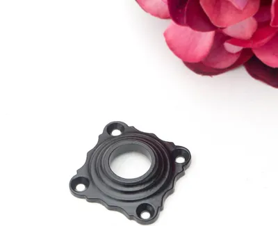 Produktbild von Rosette für Türklinke(einzeln) - zeitloses Design | Eisen schwarz